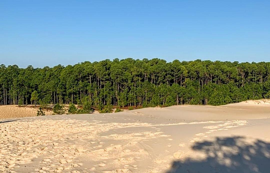 Quinta Do Mocambique