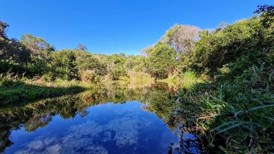 Quinta Do Mocambique *