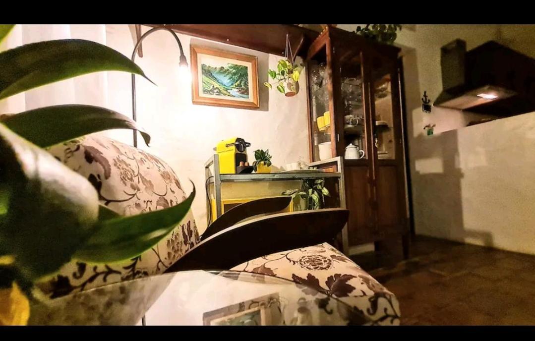 Holiday home Quinta Do Mocambique Florianopolis